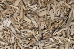 biomass boilers Rievaulx